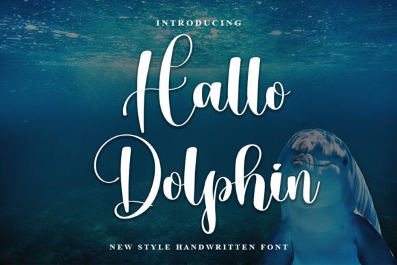 Hallo Dolphin: A Handwritten Typeface for Modern Web Design